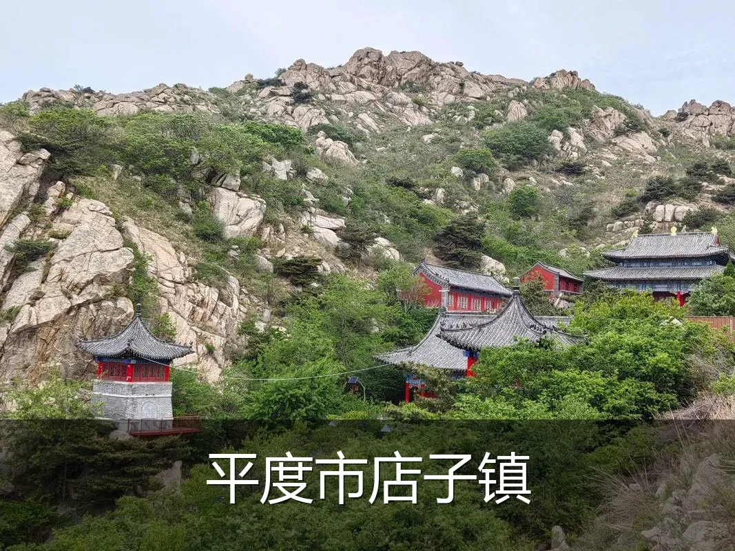 平度市店子镇