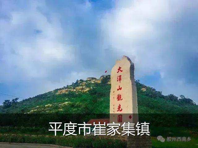 平度市崔家集镇
